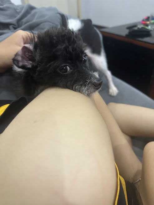 Sữa nằm tựa bên cạnh.